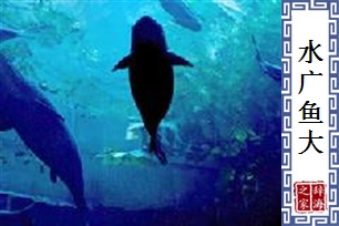 水广鱼大