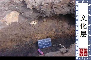 文化层