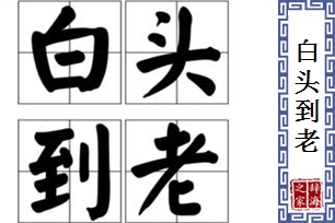 白头到老