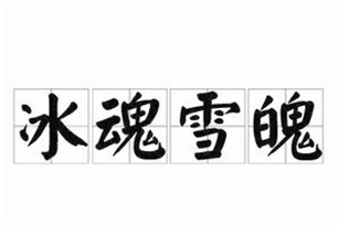 冰魂雪魄