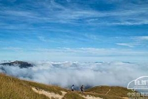 长林丰草的意思、造句、反义词