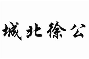 城北徐公
