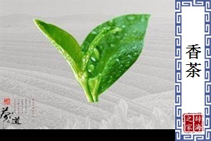 香茶