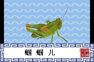 蝈蝈儿