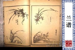 兰谱