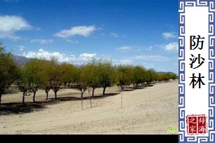 防沙林