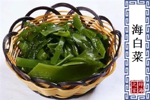 海白菜