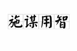 施谋用智