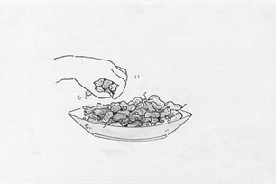 抓的意思、造句、反义词