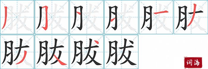 胈字怎么写图解