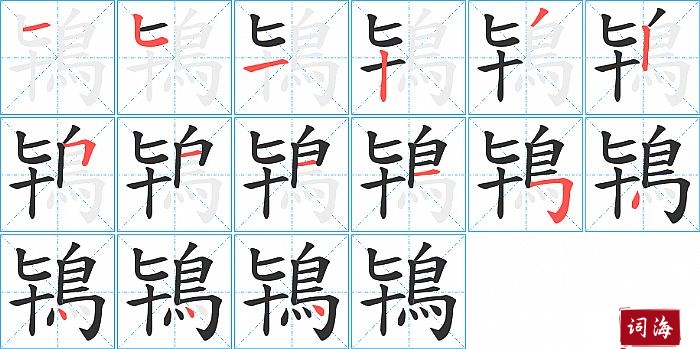 鴇字怎么写图解