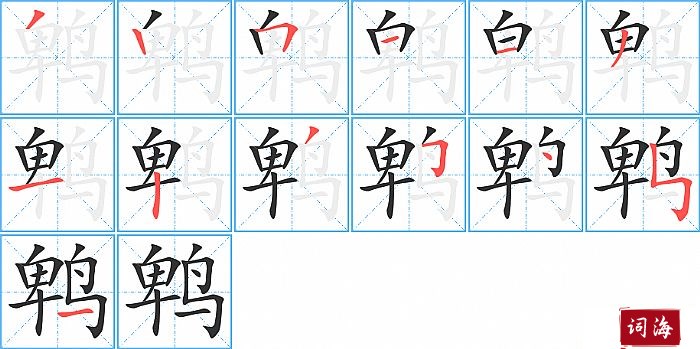 鹎字怎么写图解