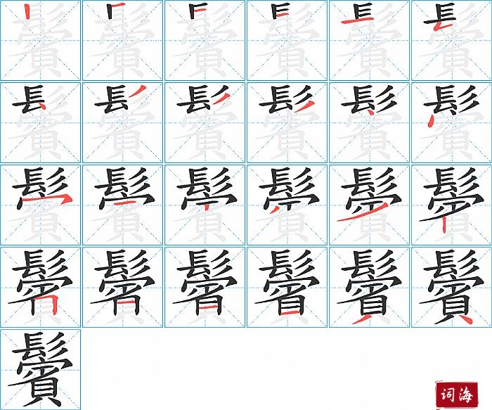 鬢字怎么写图解