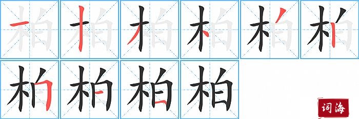 柏字怎么写图解