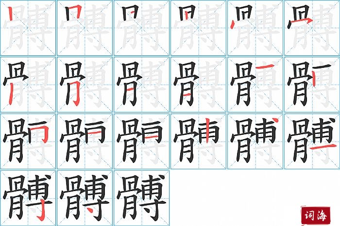 髆字怎么写图解