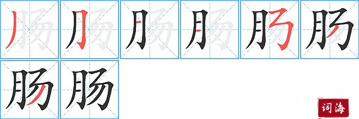 肠字怎么写图解