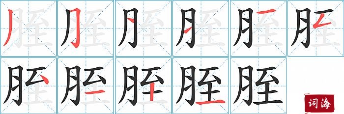 胵字怎么写图解