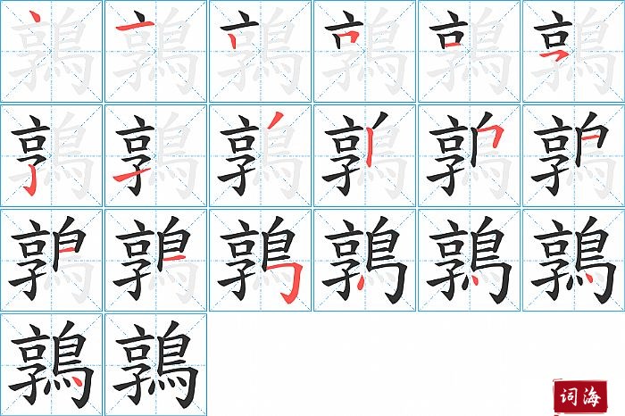 鶉字怎么写图解