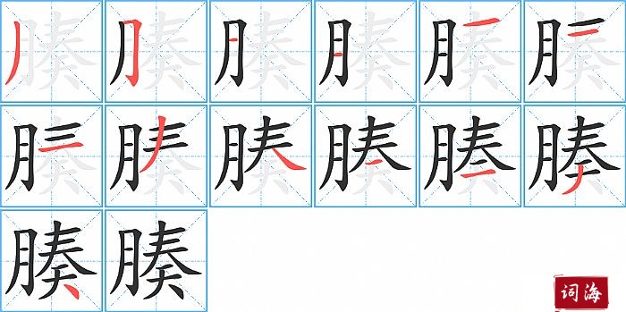 腠字怎么写图解