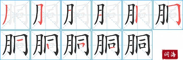 胴字怎么写图解