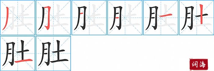 肚字怎么写图解