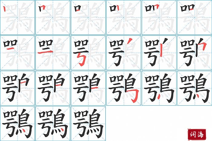 鶚字怎么写图解