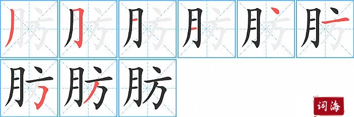 肪字怎么写图解
