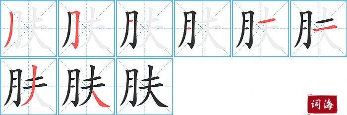 肤字怎么写图解