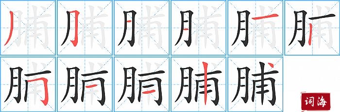 脯字怎么写图解