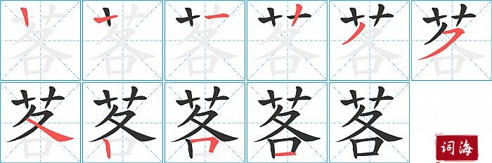 茖字怎么写图解