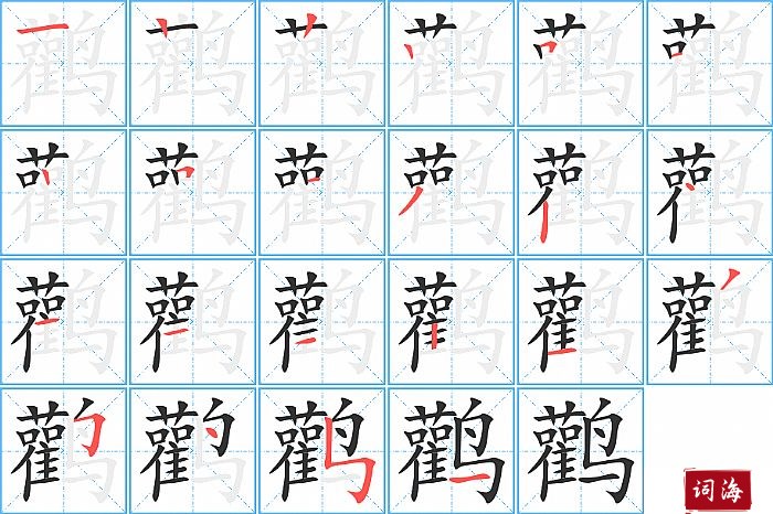 鹳字怎么写图解