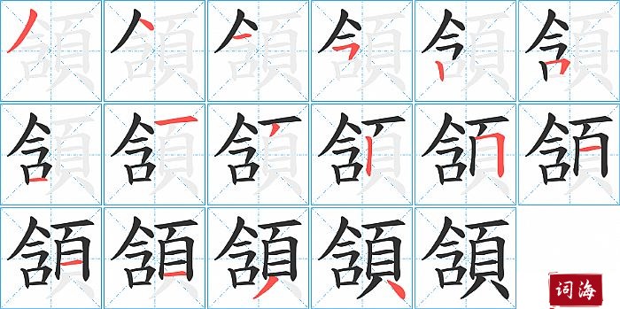 頷字怎么写图解