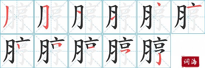 脝字怎么写图解