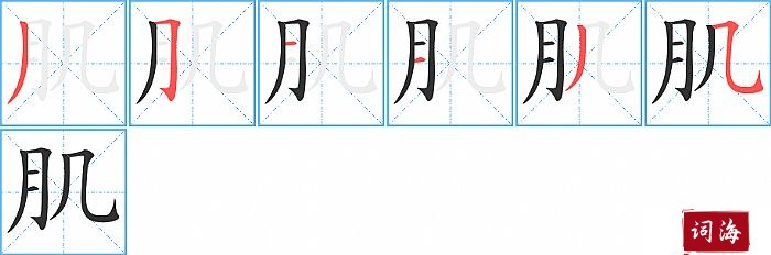 肌字怎么写图解