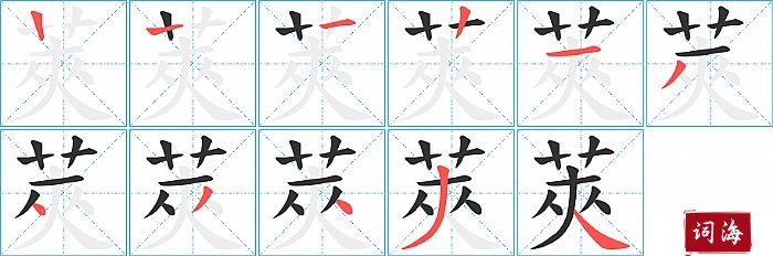 莢字怎么写图解