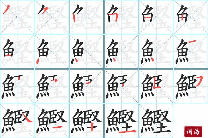 鰹字怎么写图解