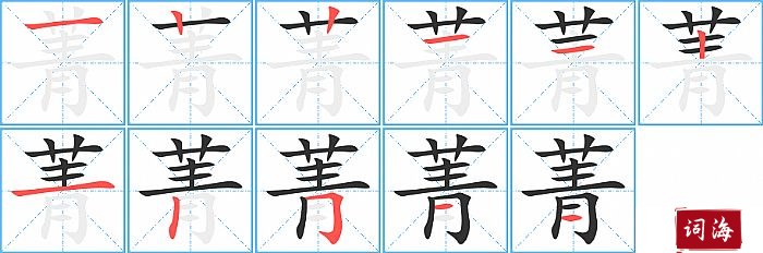 菁字怎么写图解