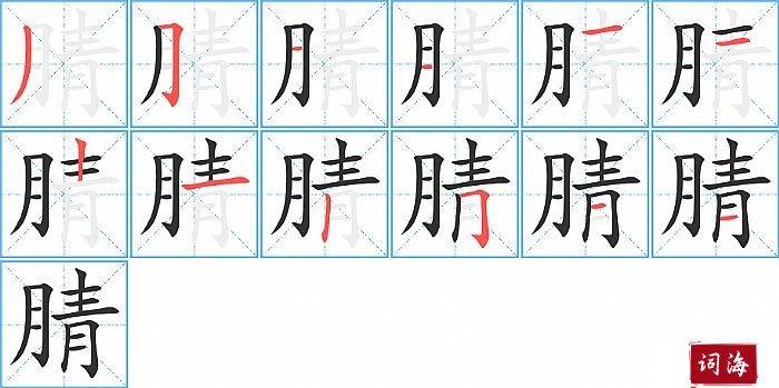 腈字怎么写图解