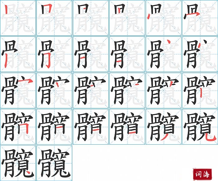 髖字怎么写图解
