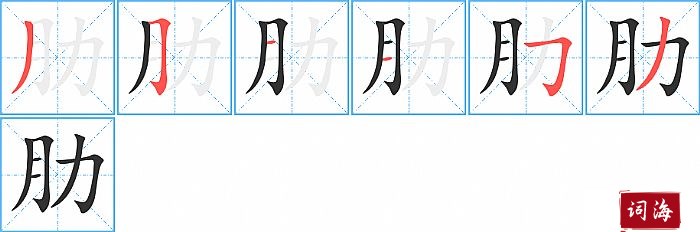 肋字怎么写图解