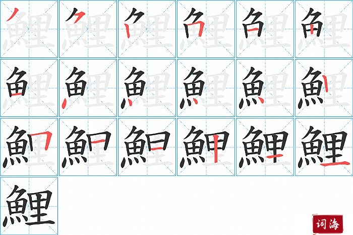 鯉字怎么写图解