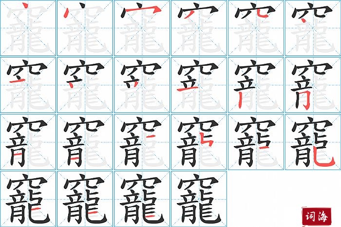 竉字怎么写图解