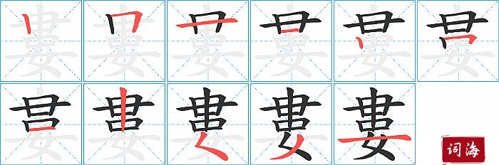 婁字怎么写图解