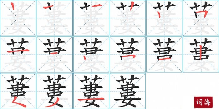 蔞字怎么写图解