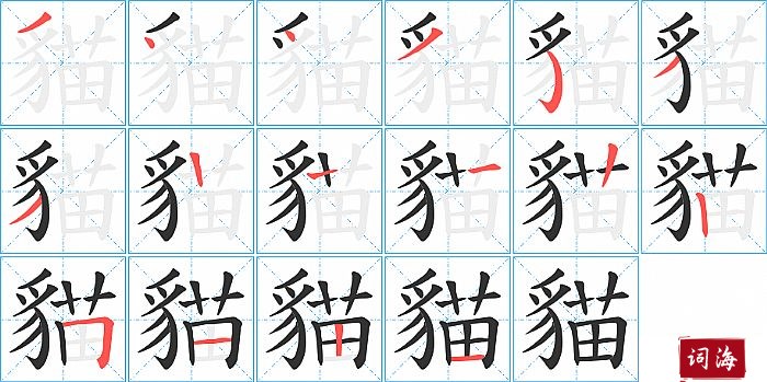 貓字怎么写图解