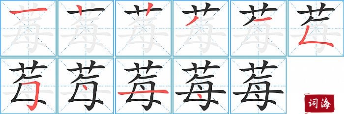 莓字怎么写图解