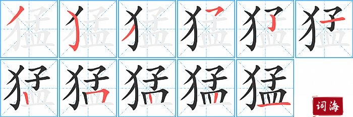 猛字怎么写图解