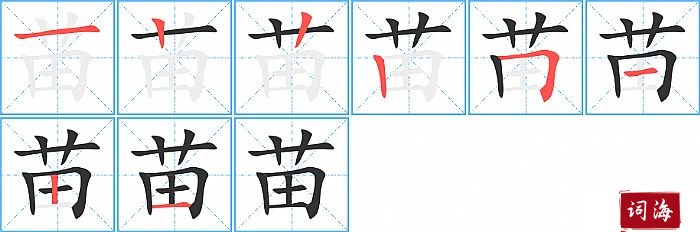 苗字怎么写图解