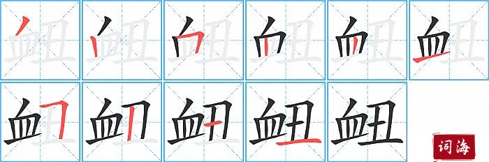 衄字怎么写图解