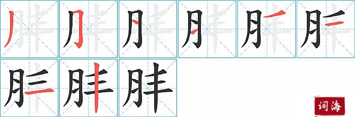 肨字怎么写图解